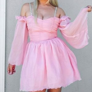 Let Them Eat Me Chiffon Corset Dress